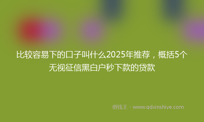 比较容易下的口子叫什么2025年推荐，概括5个无视征信黑白户秒下款的贷款