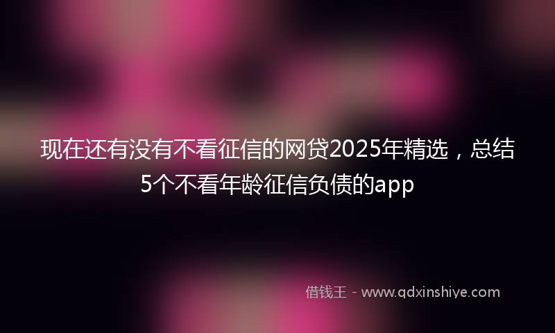 现在还有没有不看征信的网贷2025年精选，总结5个不看年龄征信负债的app