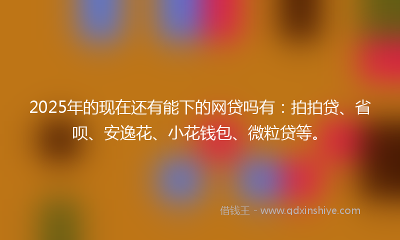 2025年的现在还有能下的网贷吗有:拍拍贷、省呗、安逸花、小花钱包、微粒贷等。