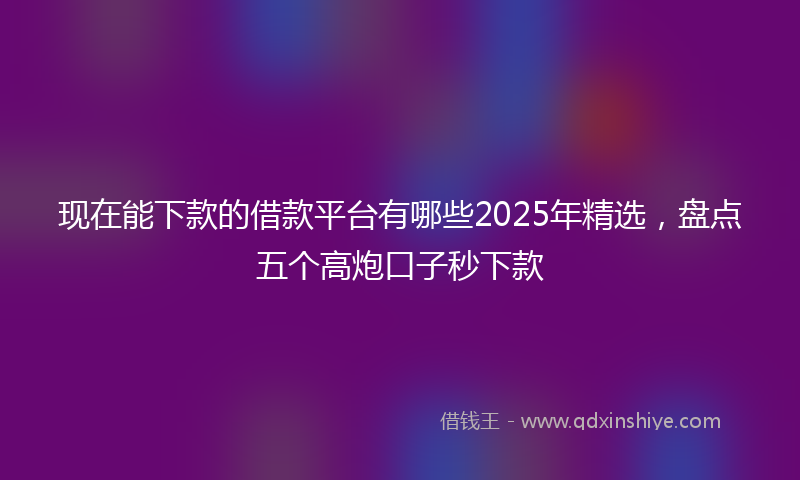 现在能下款的借款平台有哪些2025年精选，盘点五个高炮口子秒下款