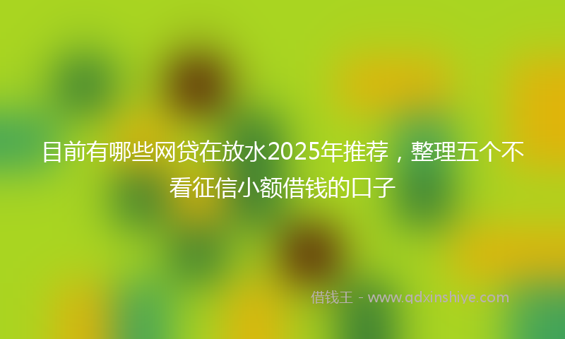 目前有哪些网贷在放水2025年推荐，整理五个不看征信小额借钱的口子