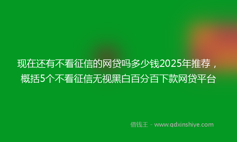 现在还有不看征信的网贷吗多少钱2025年推荐，概括5个不看征信无视黑白百分百下款网贷平台
