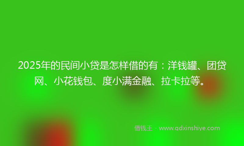 2025年的民间小贷是怎样借的有：洋钱罐、团贷网、小花钱包、度小满金融、拉卡拉等。
