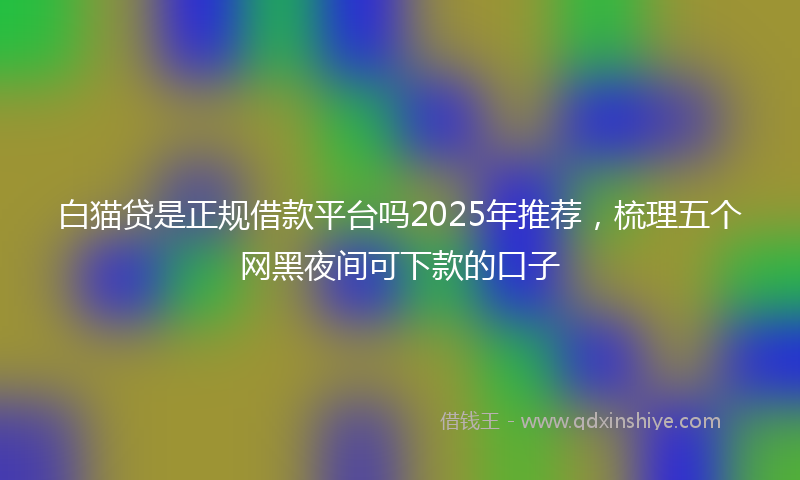 白猫贷是正规借款平台吗2025年推荐，梳理五个网黑夜间可下款的口子