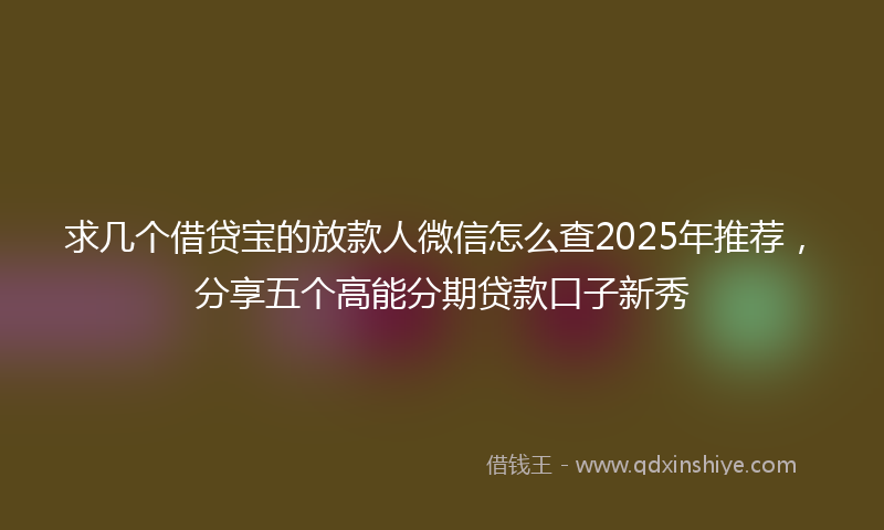 求几个借贷宝的放款人微信怎么查2025年推荐，分享五个高能分期贷款口子新秀