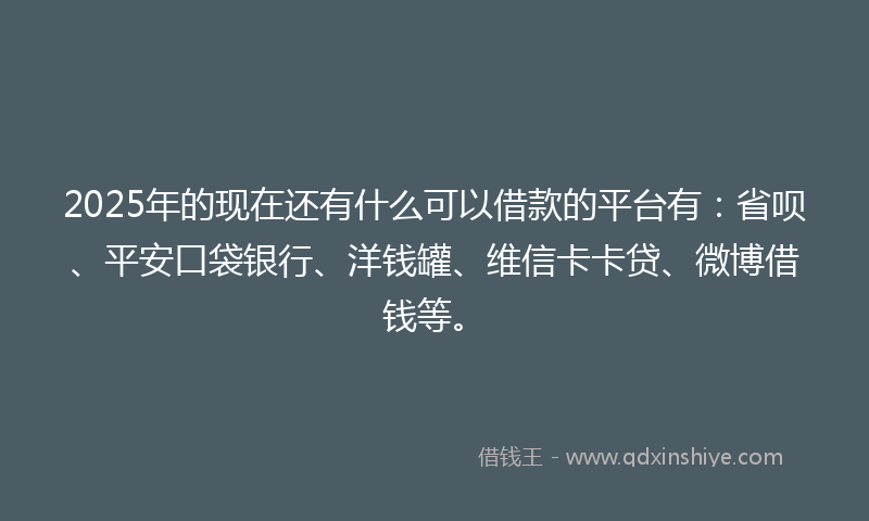 2025年的现在还有什么可以借款的平台有：省呗、平安口袋银行、洋钱罐、维信卡卡贷、微博借钱等。