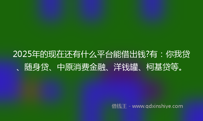 2025年的现在还有什么平台能借出钱?有:你我贷、随身贷、中原消费金融、洋钱罐、柯基贷等。