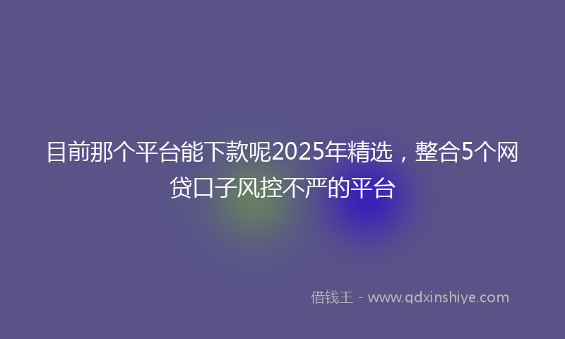 目前那个平台能下款呢2025年精选，整合5个网贷口子风控不严的平台