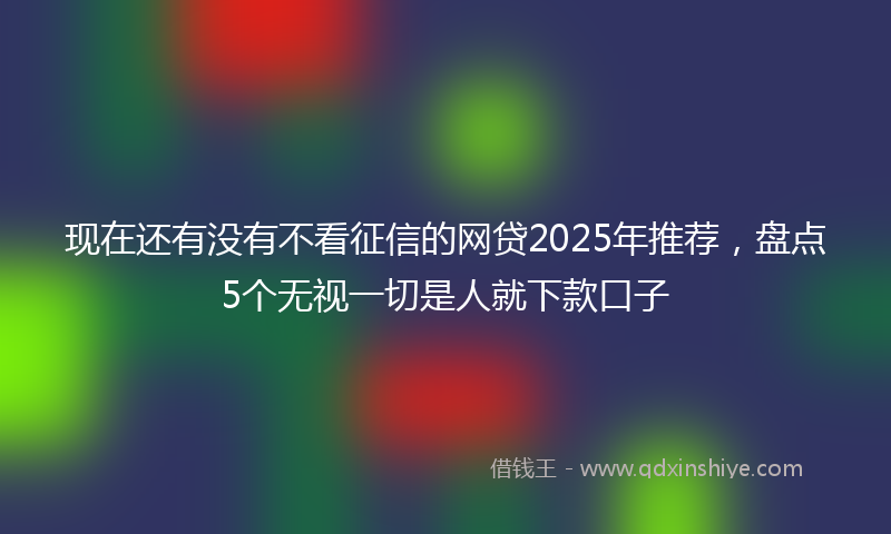 现在还有没有不看征信的网贷2025年推荐，盘点5个无视一切是人就下款口子
