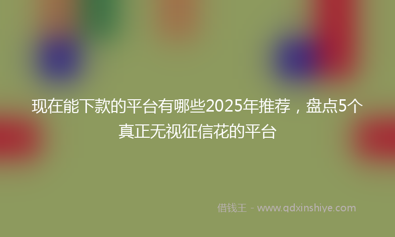 现在能下款的平台有哪些2025年推荐，盘点5个真正无视征信花的平台