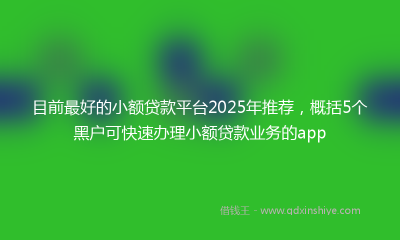 目前最好的小额贷款平台2025年推荐，概括5个黑户可快速办理小额贷款业务的app
