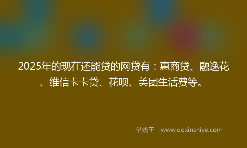 2025年的现在还能贷的网贷有：惠商贷、融逸花、维信卡卡贷、花呗、美团生活费等。