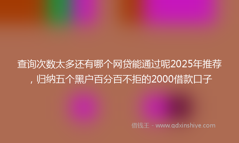 查询次数太多还有哪个网贷能通过呢2025年推荐，归纳五个黑户百分百不拒的2000借款口子