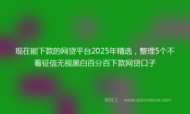 现在能下款的网贷平台2025年精选，整理5个不看征信无视黑白百分百下款网贷口子