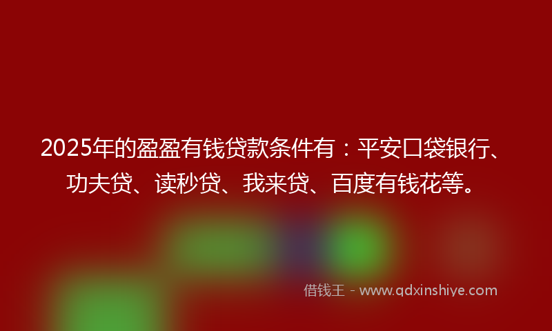 2025年的盈盈有钱贷款条件有：平安口袋银行、功夫贷、读秒贷、我来贷、百度有钱花等。