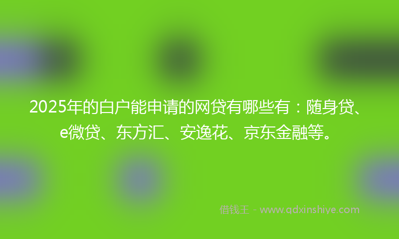 2025年的白户能申请的网贷有哪些有：随身贷、e微贷、东方汇、安逸花、京东金融等。