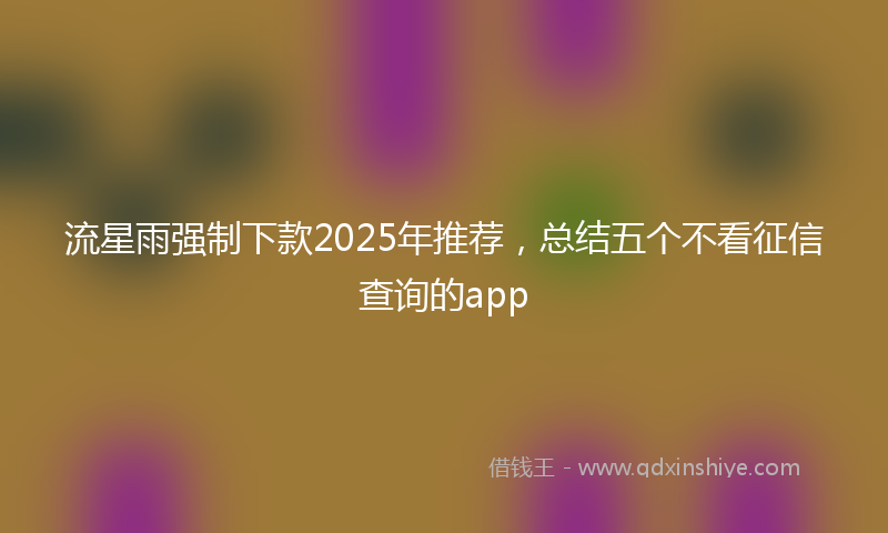 流星雨强制下款2025年推荐，总结五个不看征信查询的app