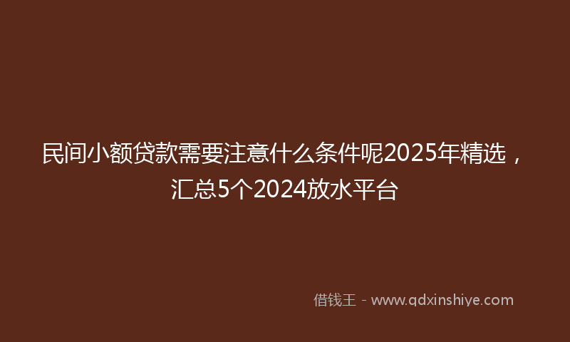 民间小额贷款需要注意什么条件呢2025年精选，汇总5个2024放水平台