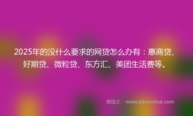 2025年的没什么要求的网贷怎么办有：惠商贷、好期贷、微粒贷、东方汇、美团生活费等。