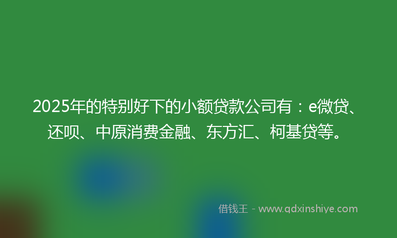 2025年的特别好下的小额贷款公司有：e微贷、还呗、中原消费金融、东方汇、柯基贷等。