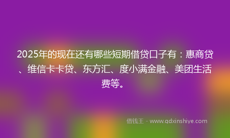2025年的现在还有哪些短期借贷口子有：惠商贷、维信卡卡贷、东方汇、度小满金融、美团生活费等。