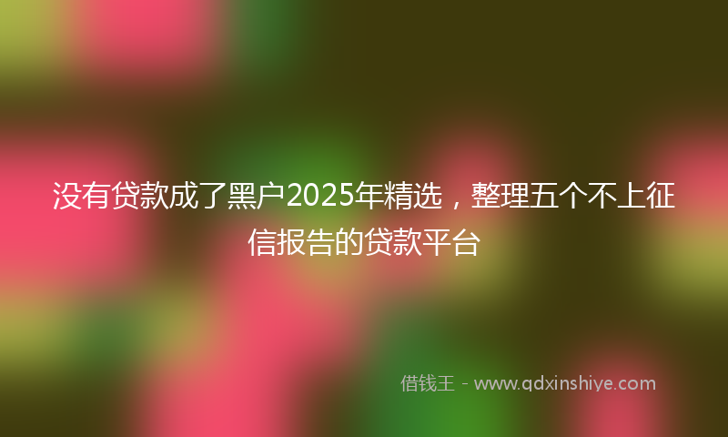 没有贷款成了黑户2025年精选,整理五个不上征信报告的贷款平台