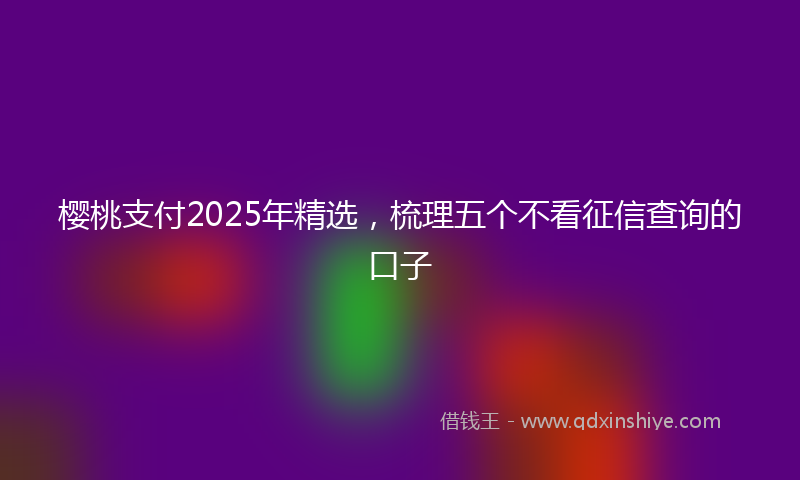 樱桃支付2025年精选，梳理五个不看征信查询的口子