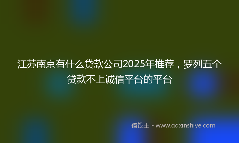 江苏南京有什么贷款公司2025年推荐，罗列五个贷款不上诚信平台的平台
