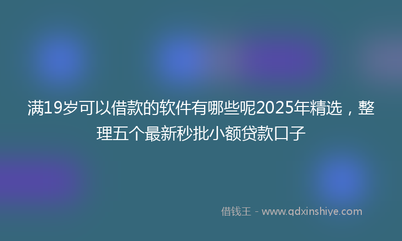 满19岁可以借款的软件有哪些呢2025年精选，整理五个最新秒批小额贷款口子