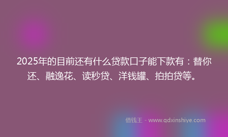 2025年的目前还有什么贷款口子能下款有：替你还、融逸花、读秒贷、洋钱罐、拍拍贷等。