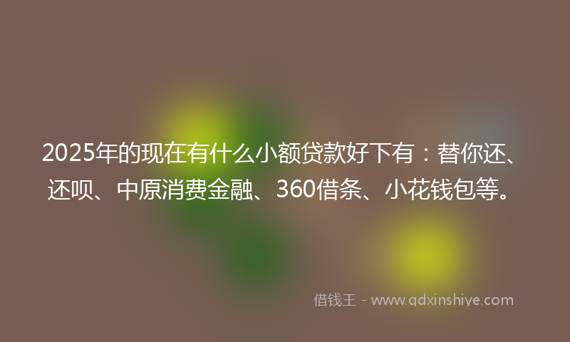 2025年的现在有什么小额贷款好下有：替你还、还呗、中原消费金融、360借条、小花钱包等。