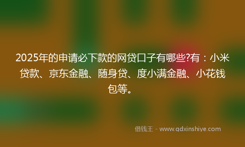 2025年的申请必下款的网贷口子有哪些?有：小米贷款、京东金融、随身贷、度小满金融、小花钱包等。