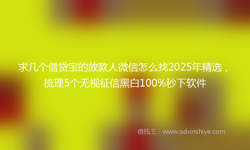 求几个借贷宝的放款人微信怎么找2025年精选，梳理5个无视征信黑白100%秒下软件