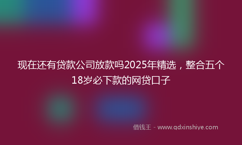 现在还有贷款公司放款吗2025年精选，整合五个18岁必下款的网贷口子