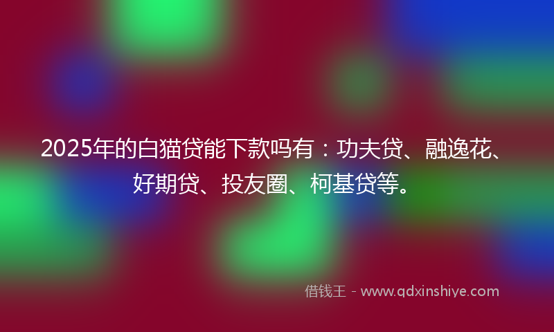 2025年的白猫贷能下款吗有：功夫贷、融逸花、好期贷、投友圈、柯基贷等。