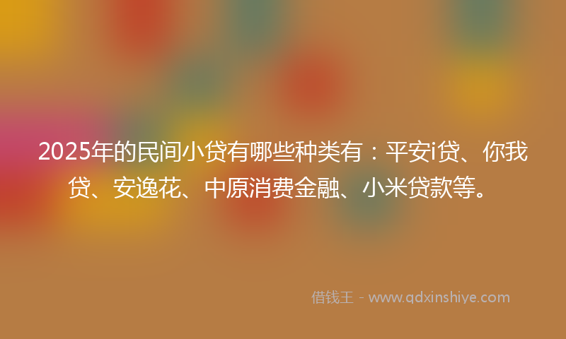 2025年的民间小贷有哪些种类有：平安i贷、你我贷、安逸花、中原消费金融、小米贷款等。