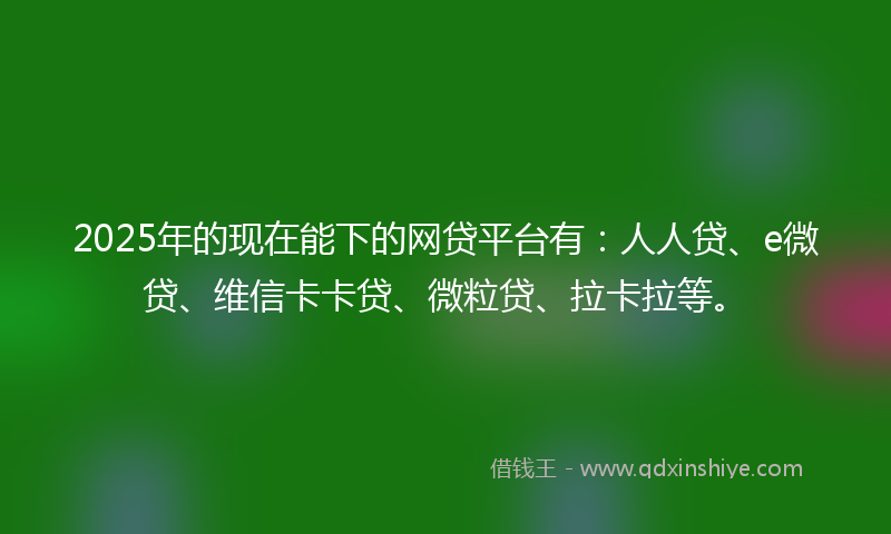 2025年的现在能下的网贷平台有：人人贷、e微贷、维信卡卡贷、微粒贷、拉卡拉等。