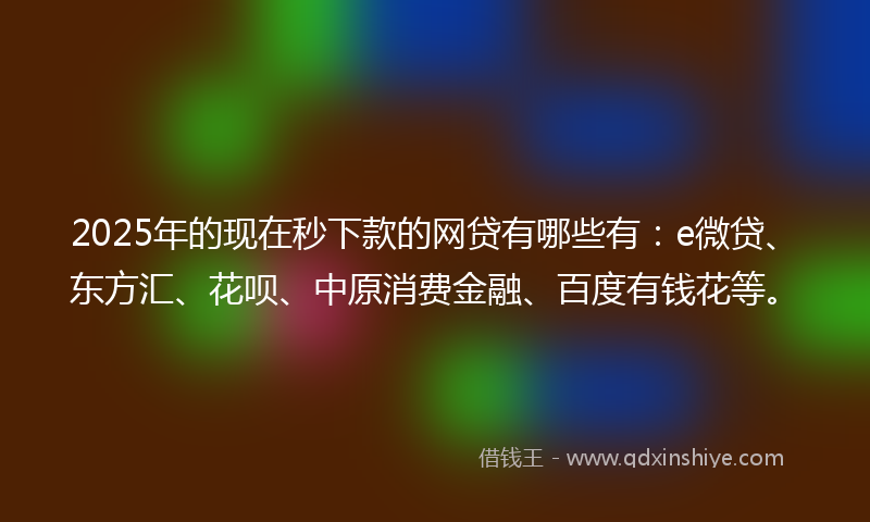 2025年的现在秒下款的网贷有哪些有：e微贷、东方汇、花呗、中原消费金融、百度有钱花等。