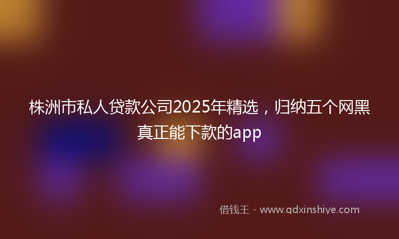 株洲市私人贷款公司2025年精选，归纳五个网黑真正能下款的app