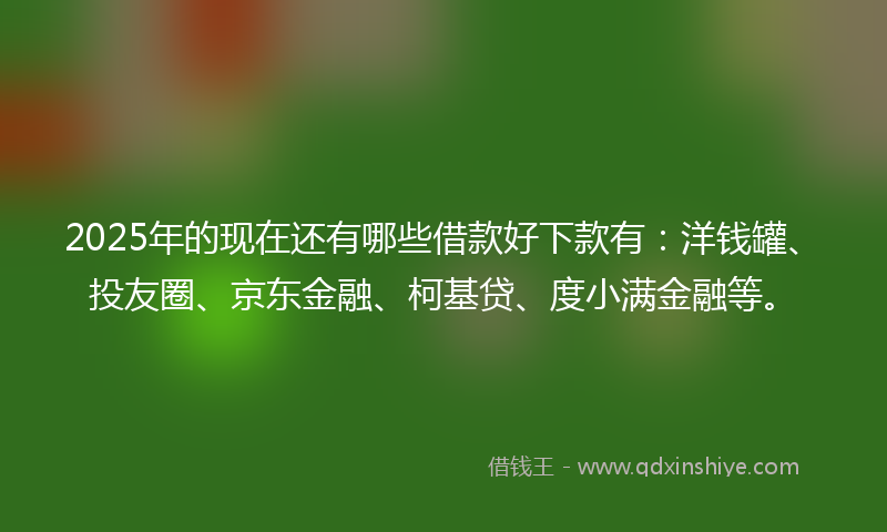 2025年的现在还有哪些借款好下款有:洋钱罐、投友圈、京东金融、柯基贷、度小满金融等。