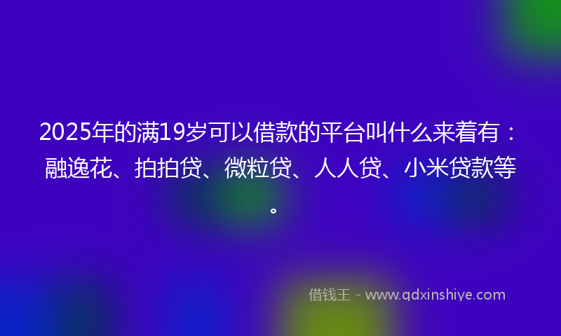 2025年的满19岁可以借款的平台叫什么来着有：融逸花、拍拍贷、微粒贷、人人贷、小米贷款等。