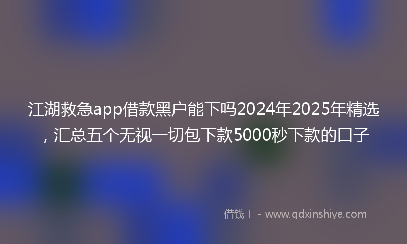 江湖救急app借款黑户能下吗2024年2025年精选，汇总五个无视一切包下款5000秒下款的口子