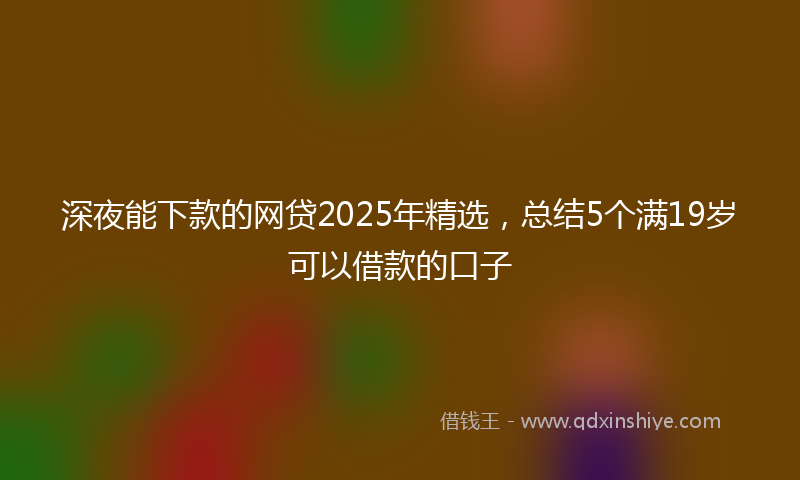 深夜能下款的网贷2025年精选，总结5个满19岁可以借款的口子
