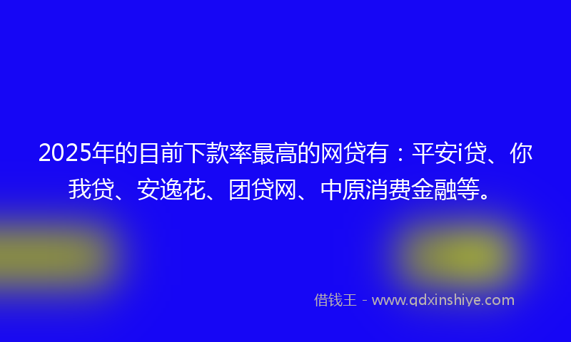 2025年的目前下款率最高的网贷有：平安i贷、你我贷、安逸花、团贷网、中原消费金融等。
