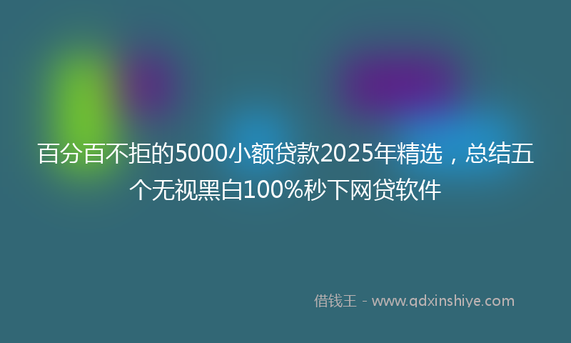 百分百不拒的5000小额贷款2025年精选，总结五个无视黑白100%秒下网贷软件