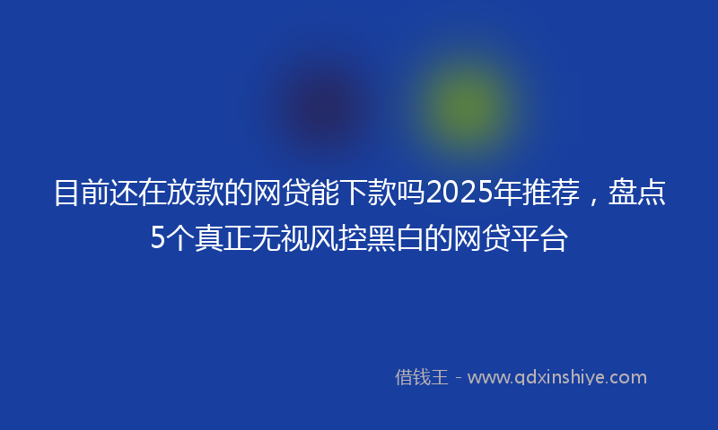 目前还在放款的网贷能下款吗2025年推荐，盘点5个真正无视风控黑白的网贷平台