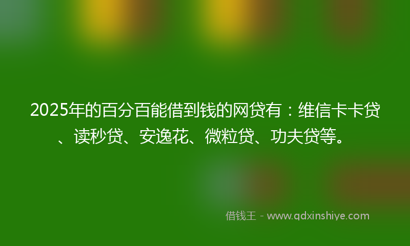 2025年的百分百能借到钱的网贷有：维信卡卡贷、读秒贷、安逸花、微粒贷、功夫贷等。