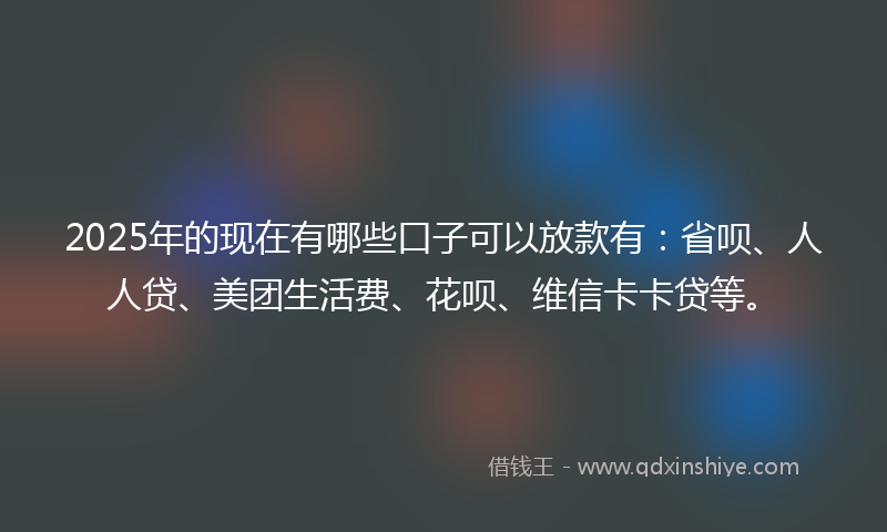 2025年的现在有哪些口子可以放款有：省呗、人人贷、美团生活费、花呗、维信卡卡贷等。