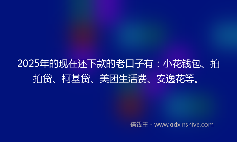 2025年的现在还下款的老口子有：小花钱包、拍拍贷、柯基贷、美团生活费、安逸花等。
