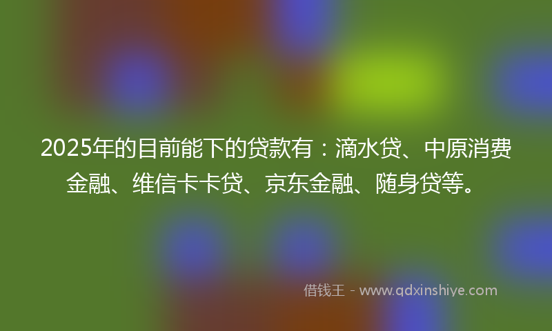 2025年的目前能下的贷款有：滴水贷、中原消费金融、维信卡卡贷、京东金融、随身贷等。